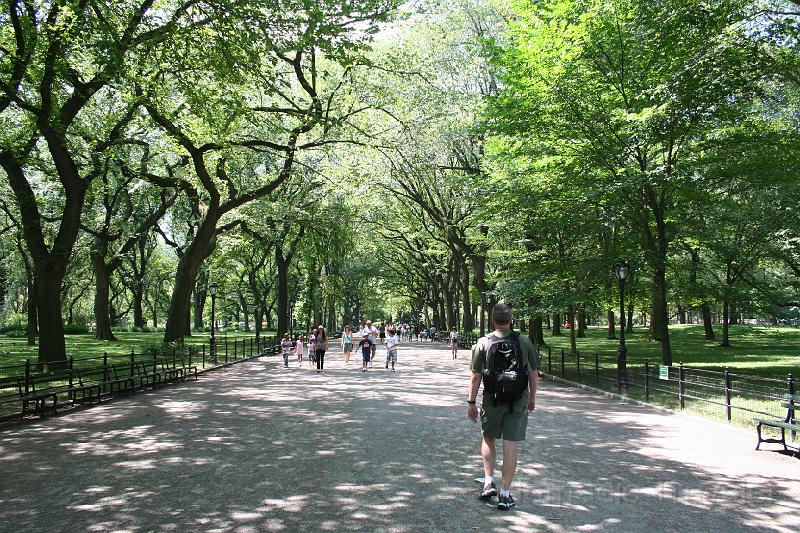 IMG_0022.JPG - Beautiful shade in Central Park